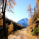 Apartman Gufler *