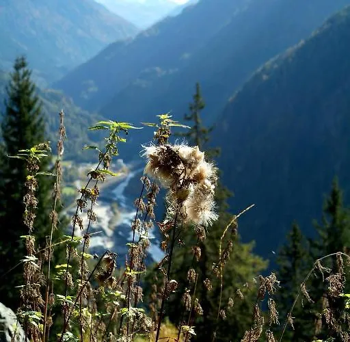 アパート Gufler レンゲンフェルト