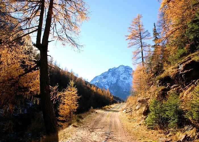 アパート Gufler *