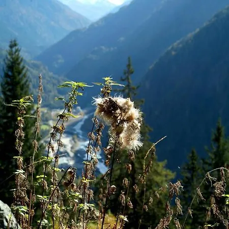 Apartament Gufler Längenfeld